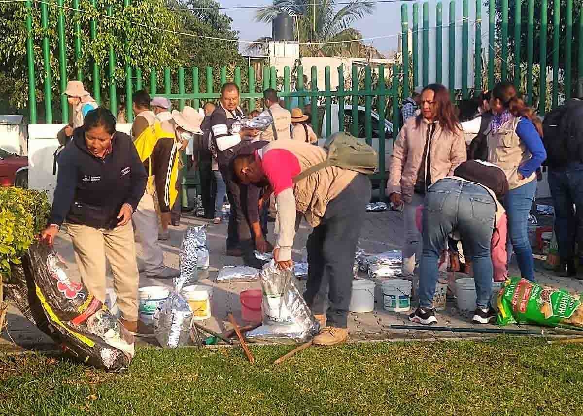 Aceleran medidas para evitar propagación del mosco del dengue en Yecapixtla