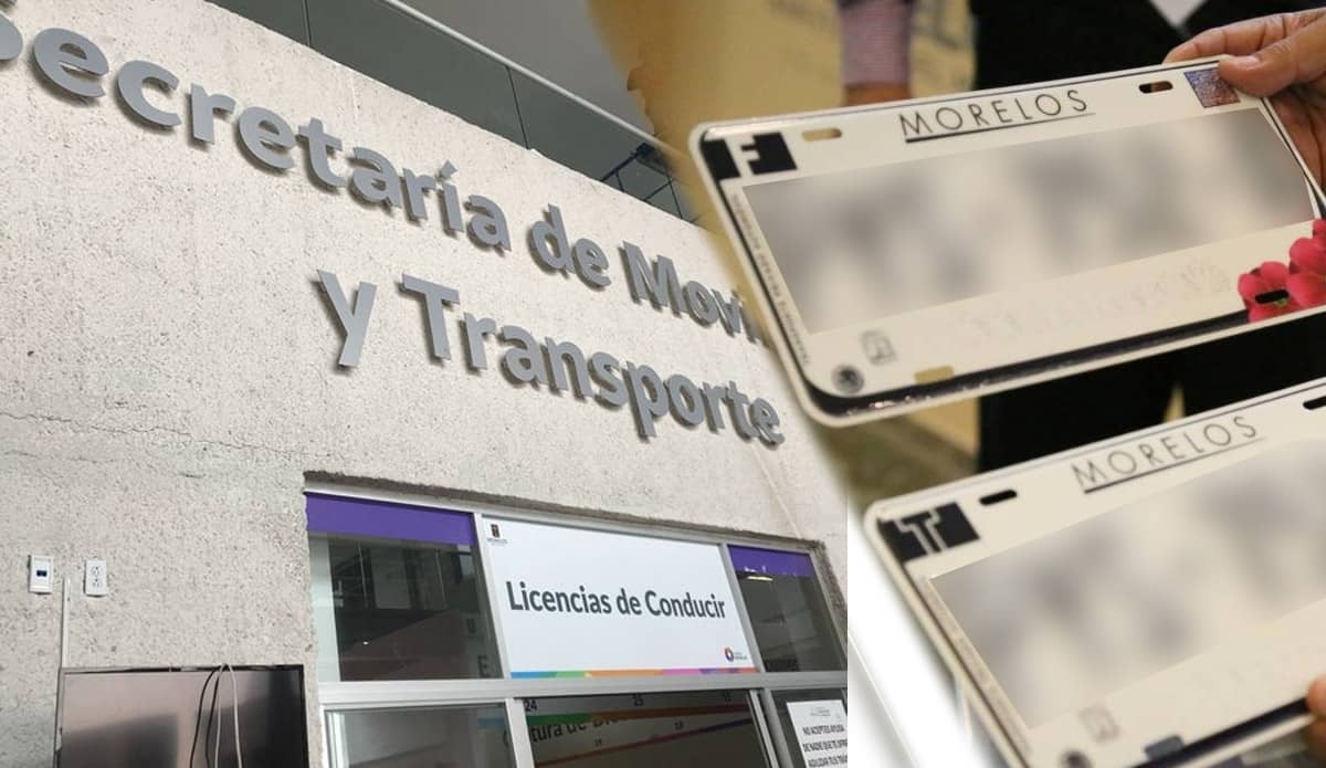 SMyT expedirá placas virtuales mientras adquiere metálicas