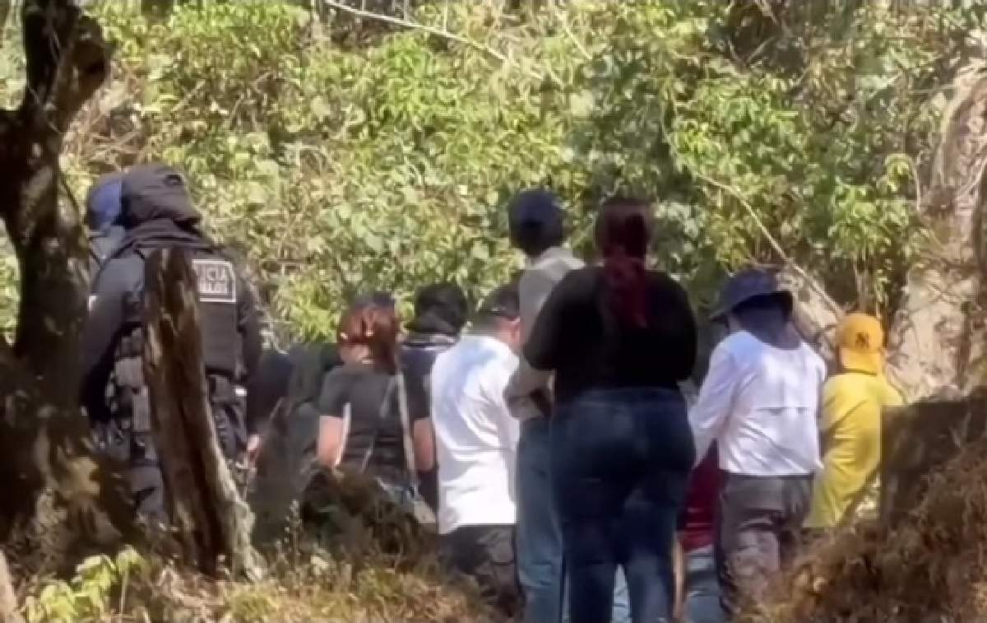 Buscan a Kimberly Joselin en bosque cercano a la UAEM