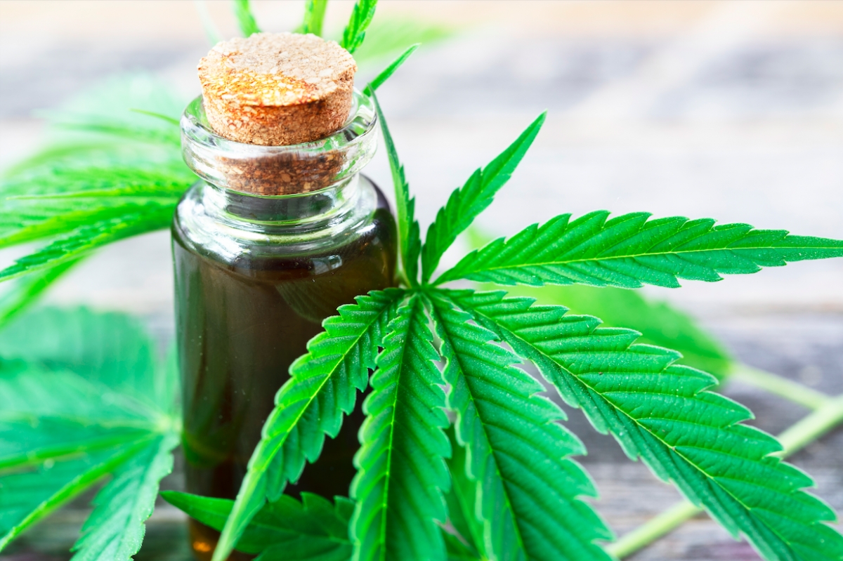Francia inicia ensayos clínicos para uso medicinal de la Marihuana