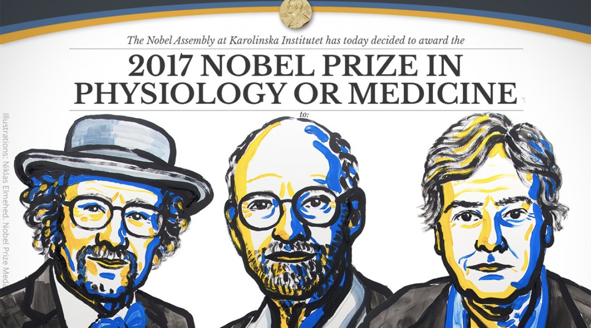 Nobel de Medicina 2017 premia el descubrimiento del ‘reloj biológico interno’ del cuerpo
