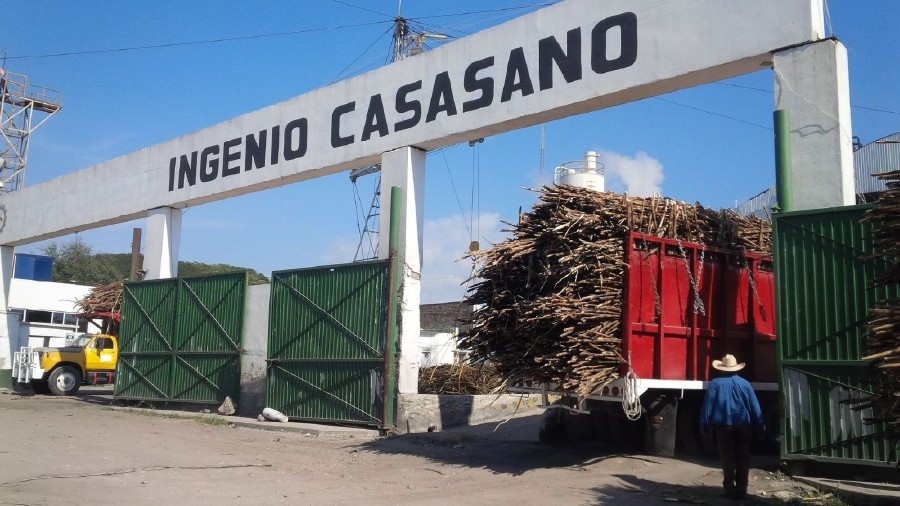 Arranca la zafra 2015-2016 en La Abeja de Casasano