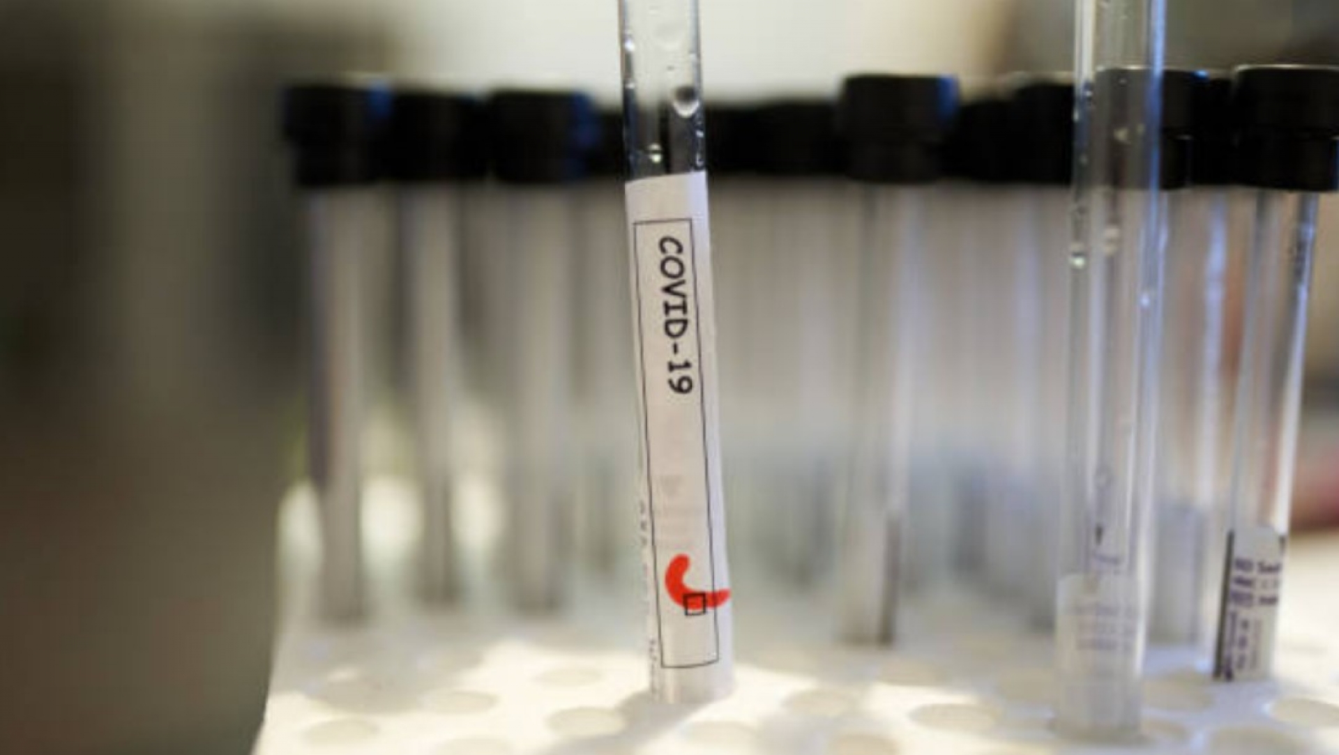 OMS ve cada vez más improbable una segunda ola importante del coronavirus
