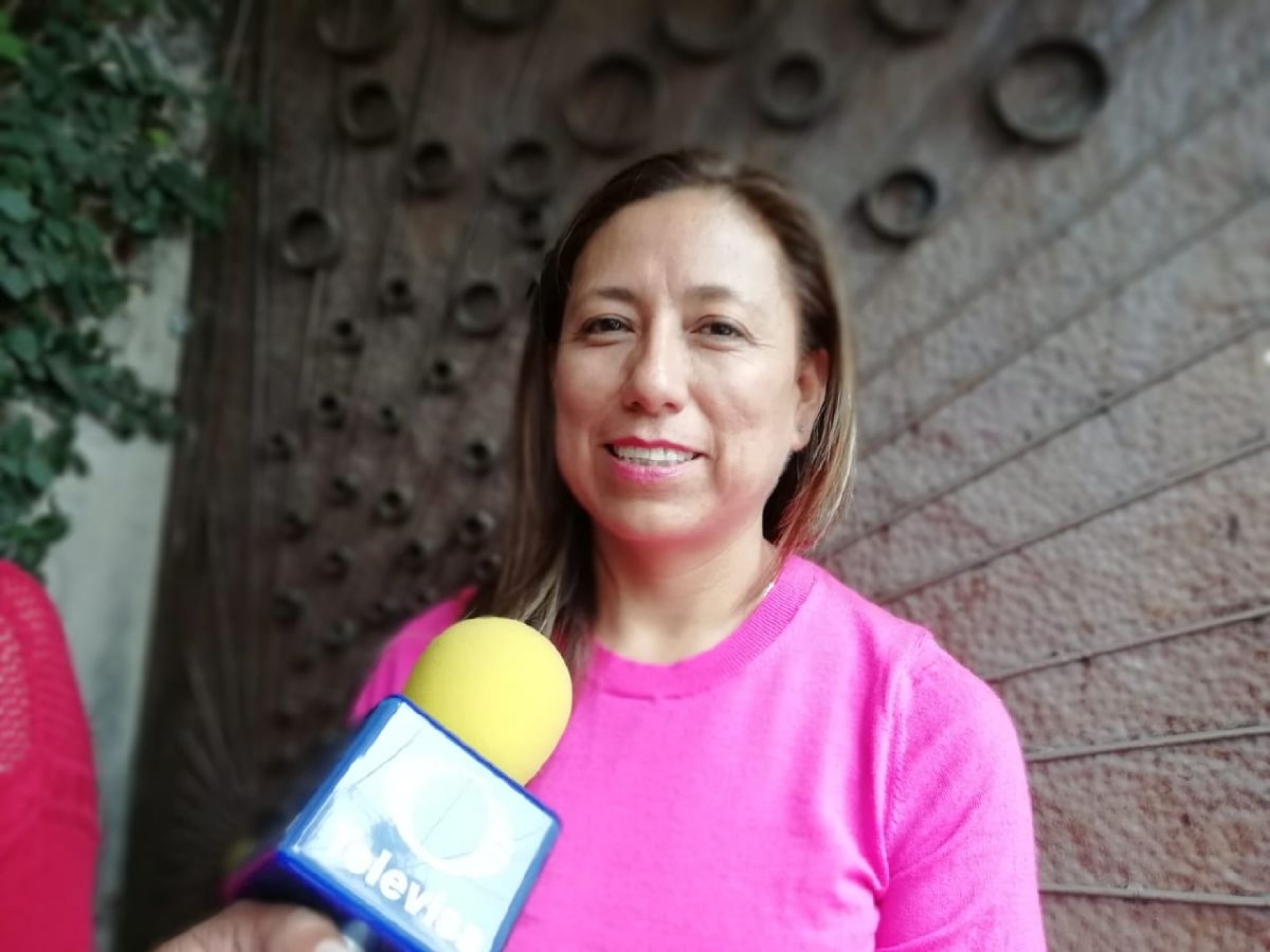 Fiscal anticorrupción compareció ante diputados