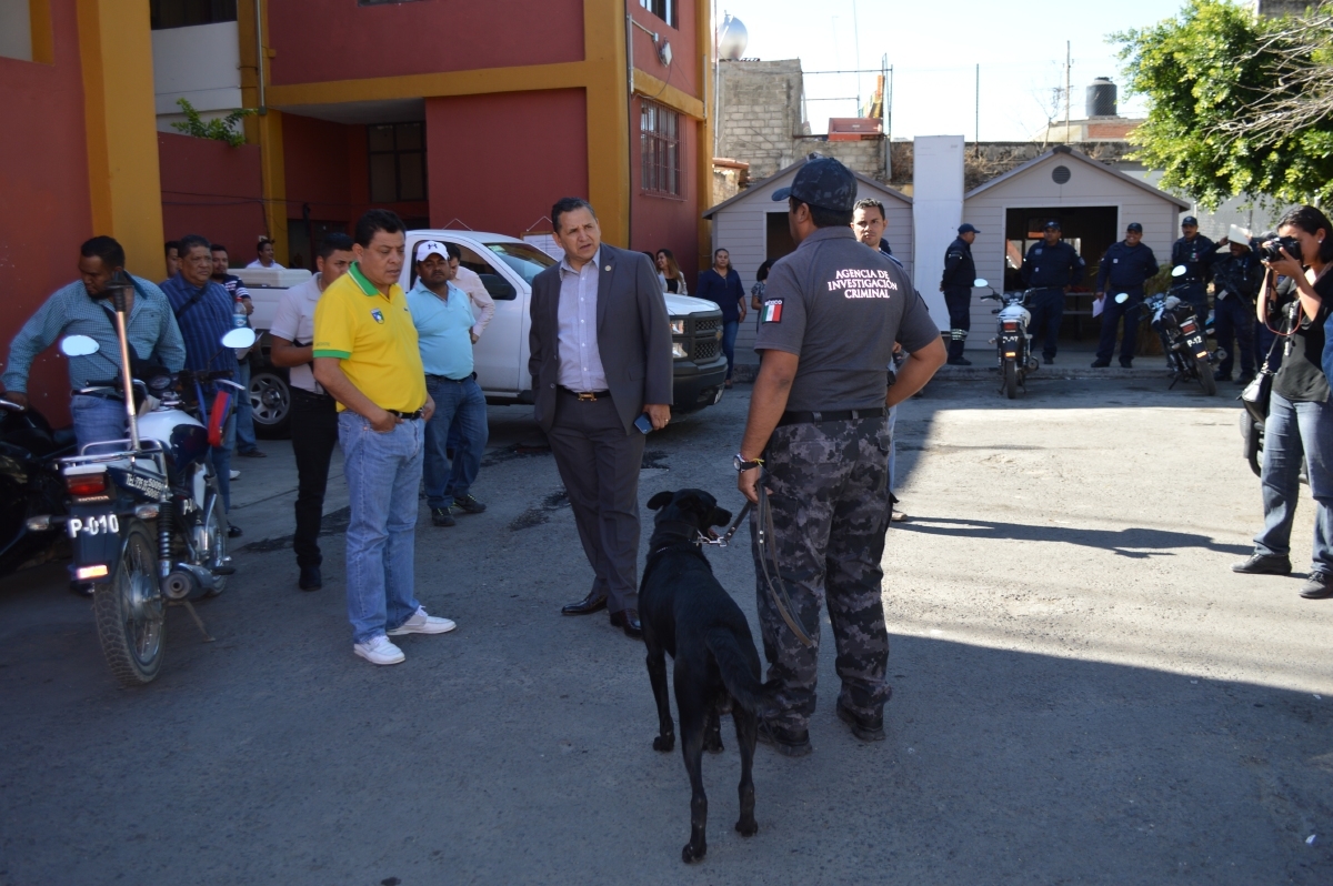 Gestiona Israel Andrade Zavala, la adquisición de perros adiestrados para reforzar la seguridad en Jonacatepec