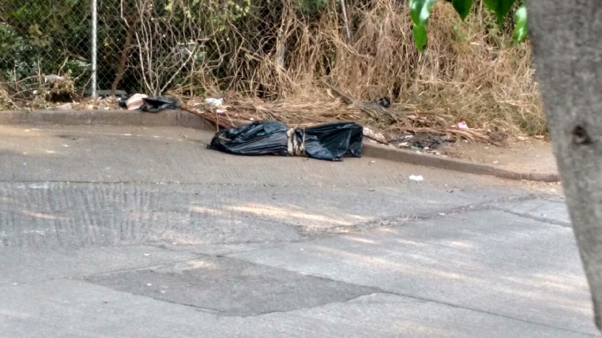 Un perro muerto provocó movilización policiaca