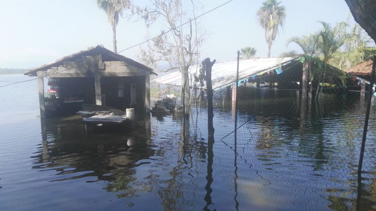 Llaman a edil de Miacatlán a ayudar a palaperos inundados pero sin drenar lago de Coatetelco