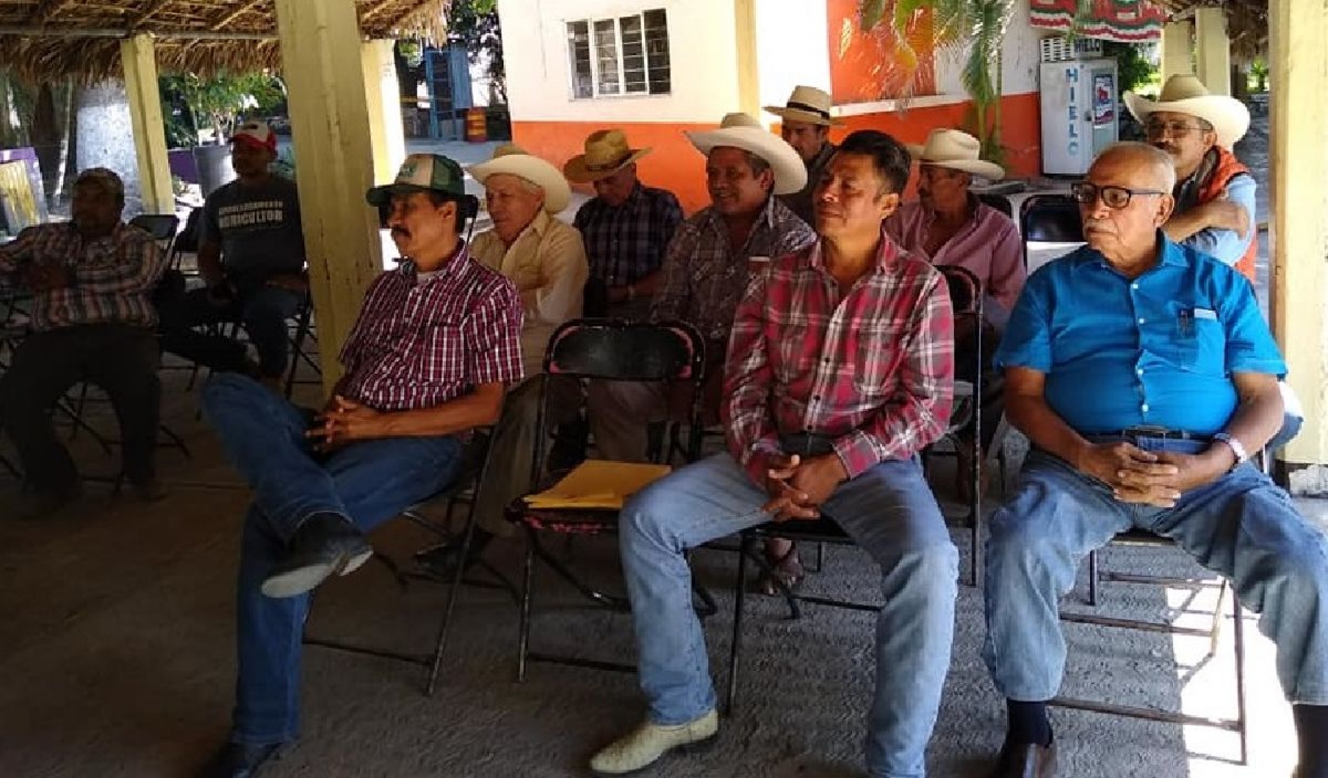 Demandan mayores apoyos para elevar la producción de arroz