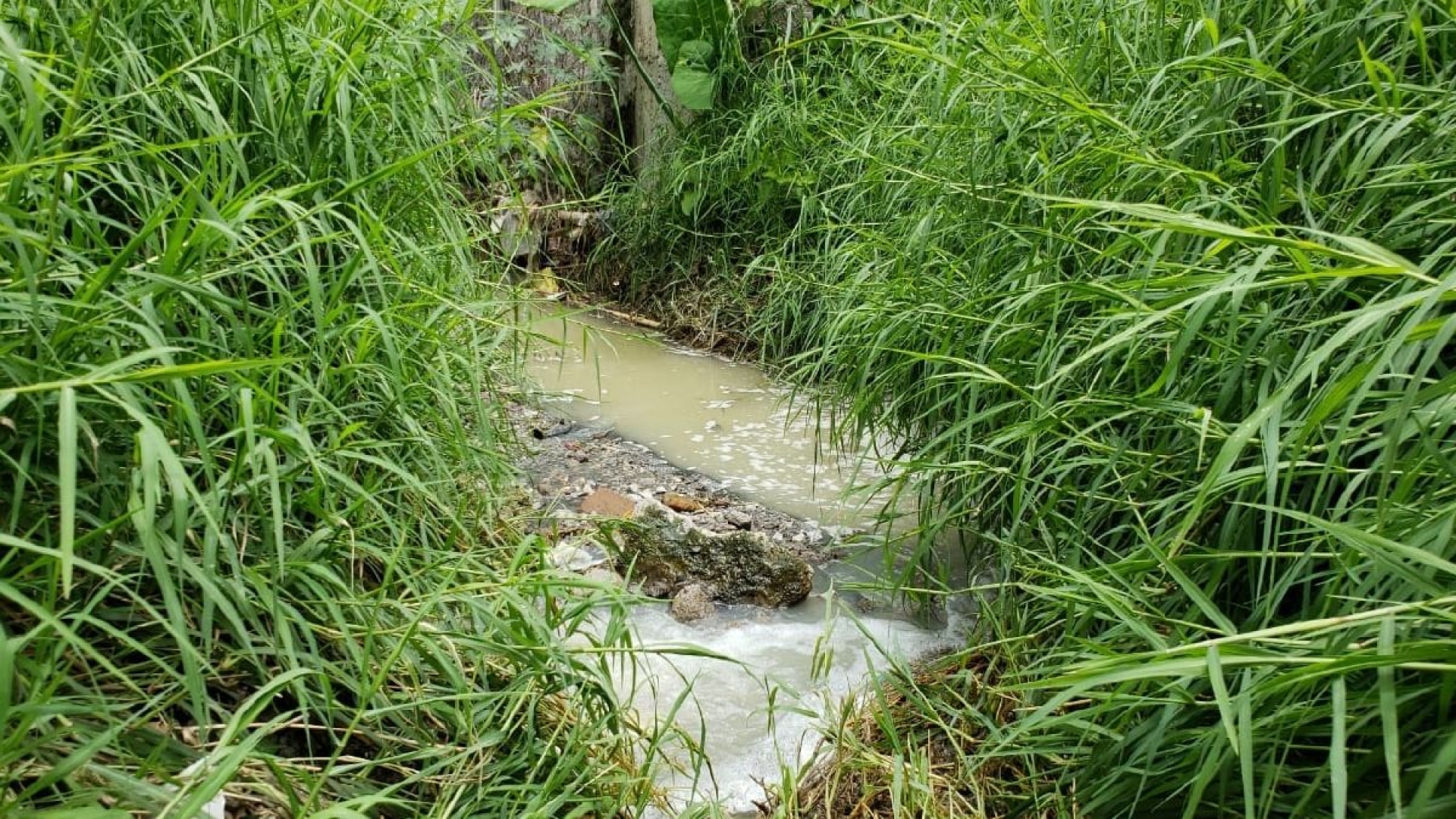 Denuncian grave contaminación en la barranca La Víbora de Puente de Ixtla