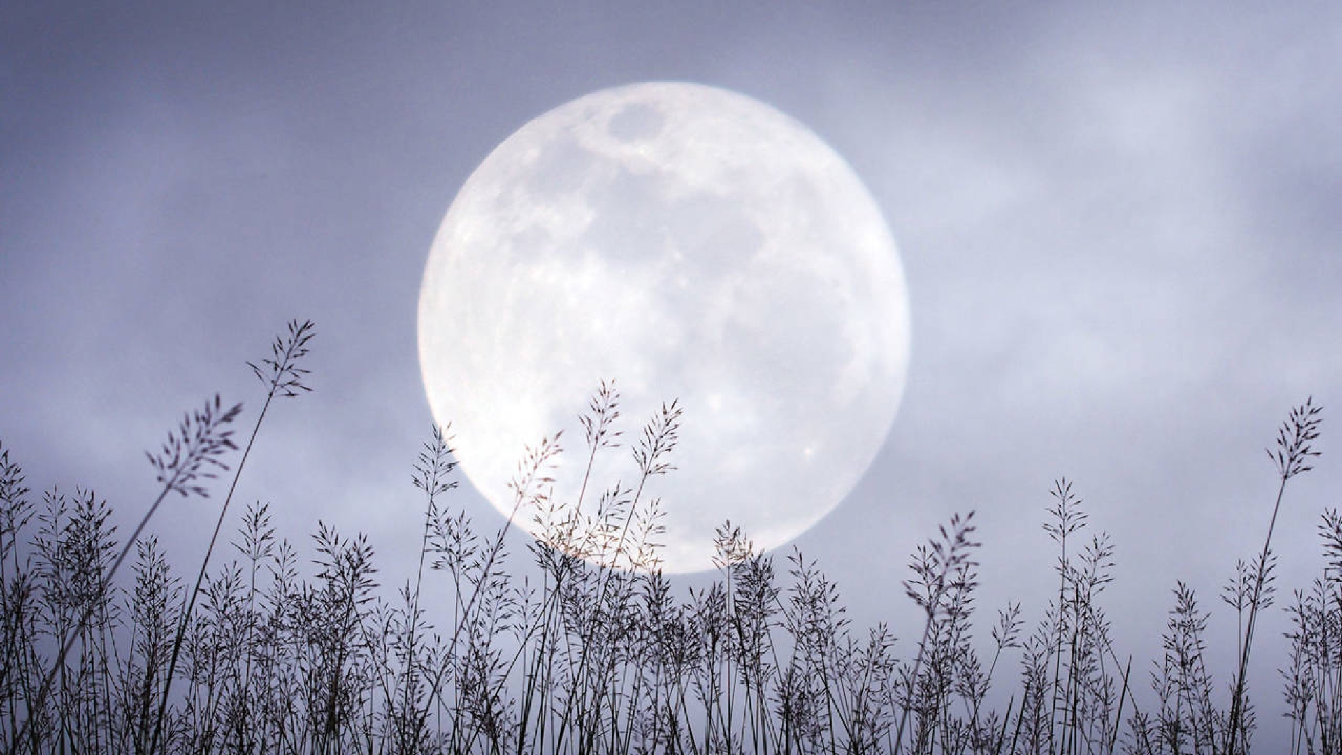 Luna Rosa 2025: cuándo y cómo ver la luna llena de abril