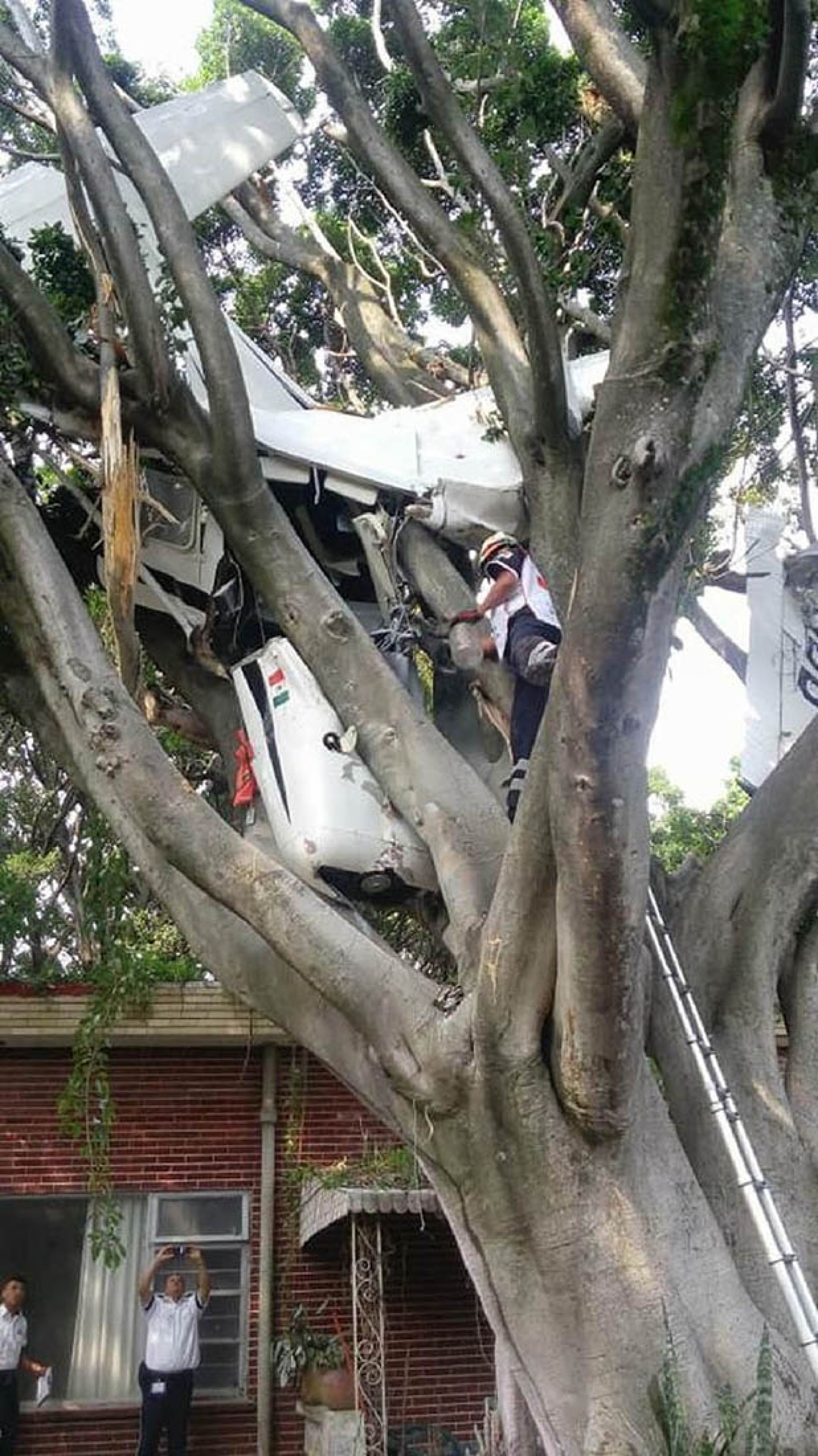 Cae avioneta en Rancho Tetela; el piloto resultó herido