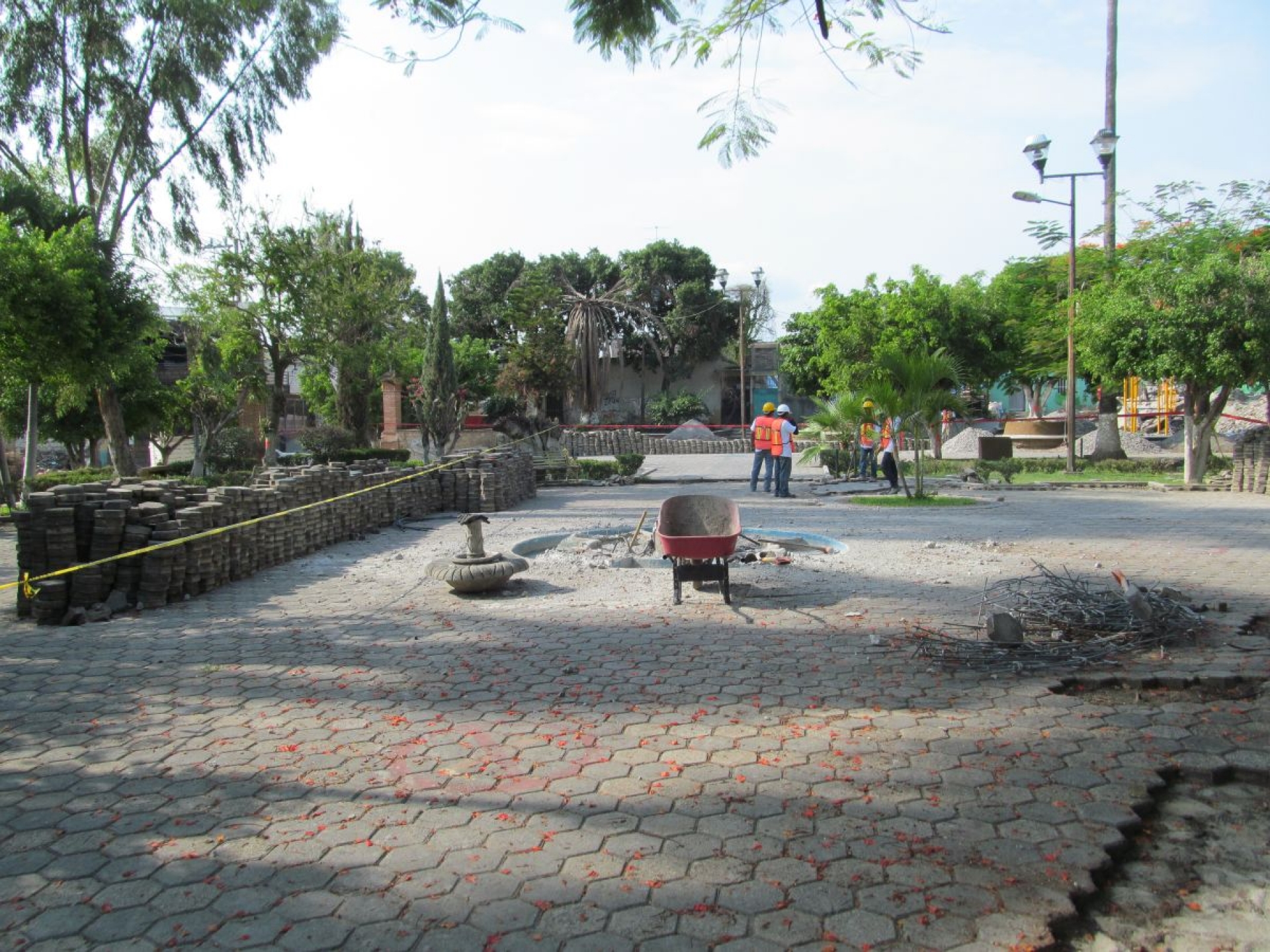 No derribarán árboles en la Alameda de Jojutla