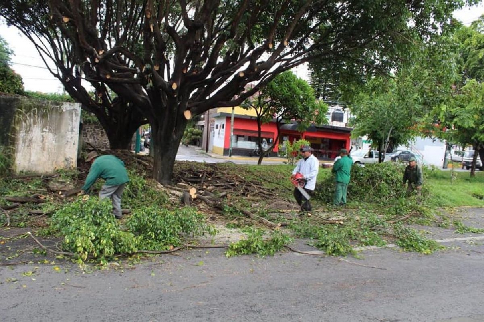 Realiza comuna podas de levantamiento en Lomas de Cortés