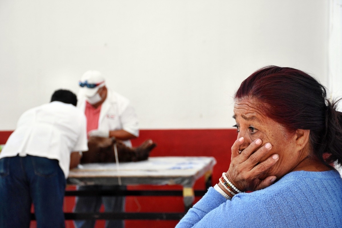 Inician campañas de esterilización permanente en Cuernavaca