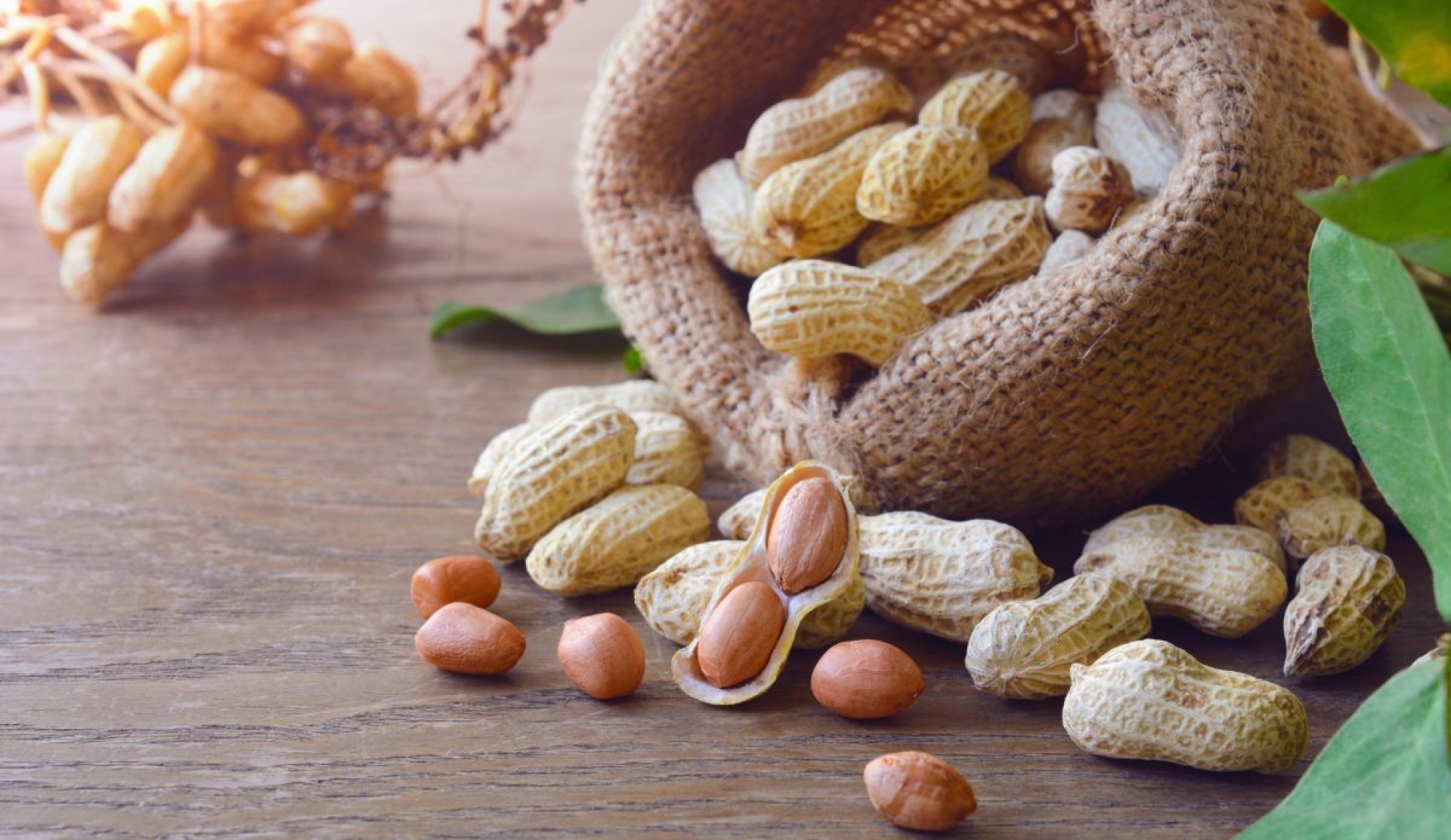 Beneficios del cacahuate para la salud y su consumo responsable
