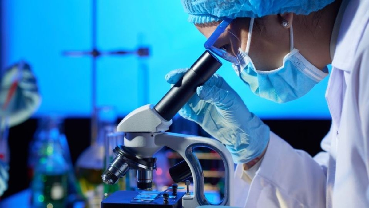 ¿Es posible la reproducción asexual en los humanos? Esto dice la ciencia