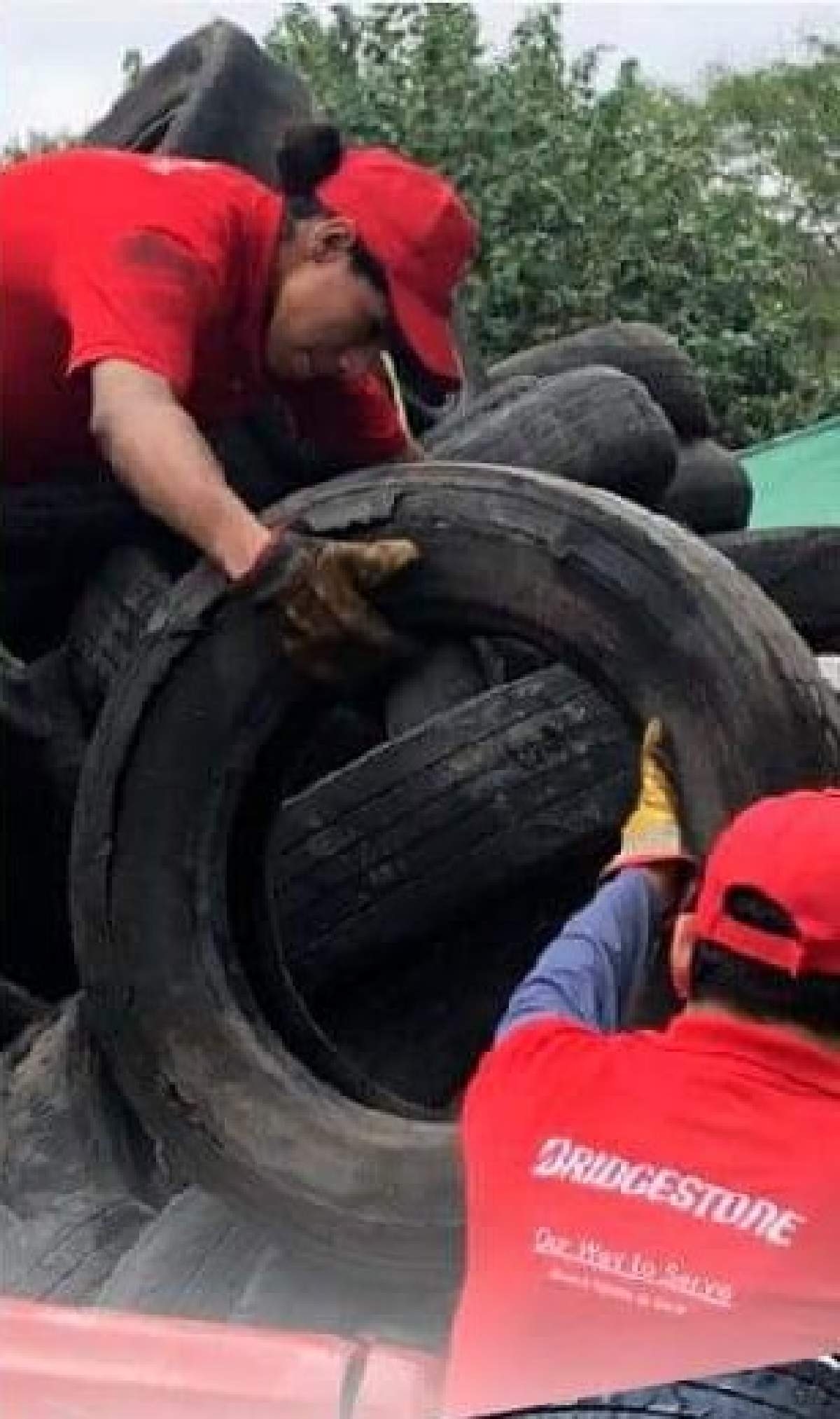 Recolectarán llantas en desuso en Puente de Ixtla