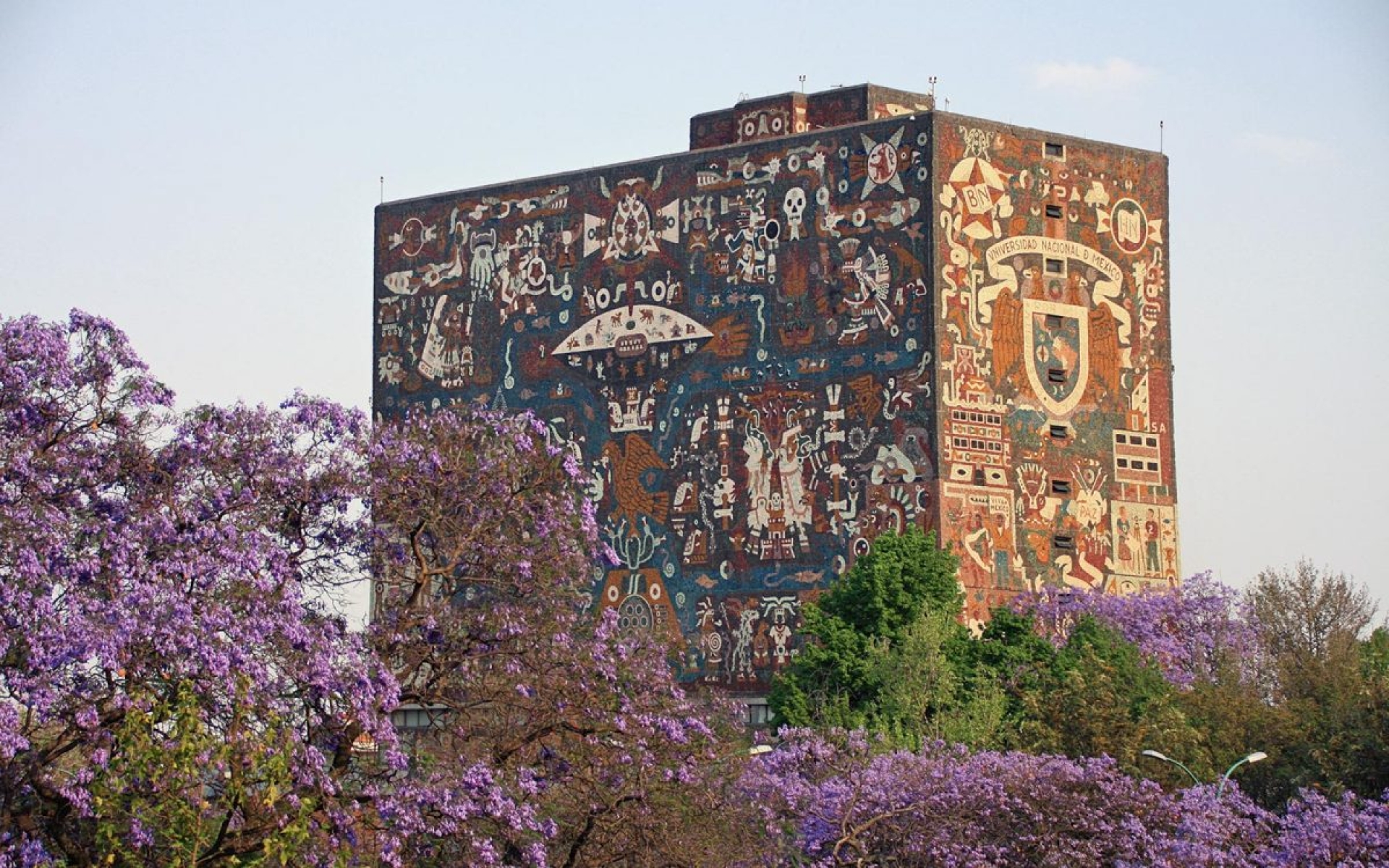 Hackeo impacta a cinco sistemas informáticos de la UNAM