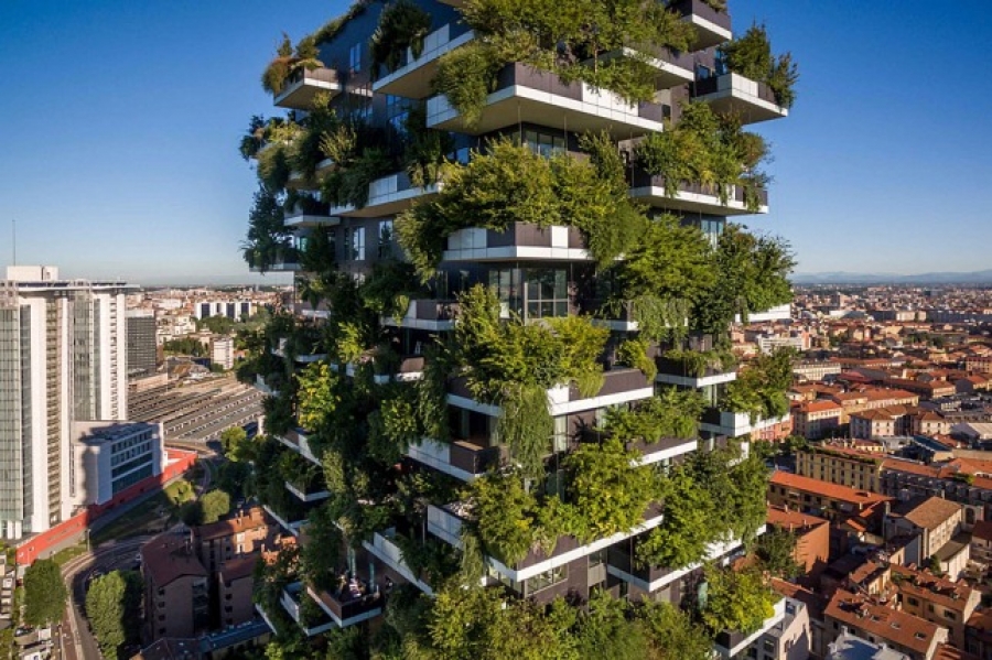La ciudad china que está 'hecha' de árboles