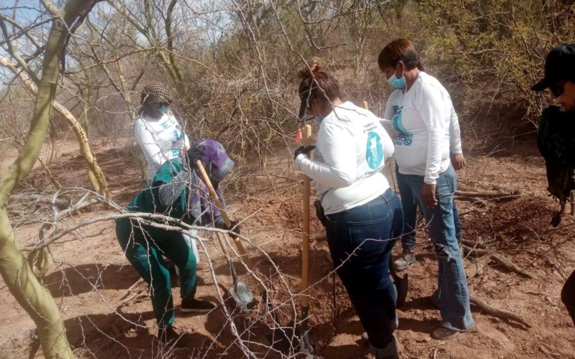 Localizan 11 fosas clandestinas en Sonora