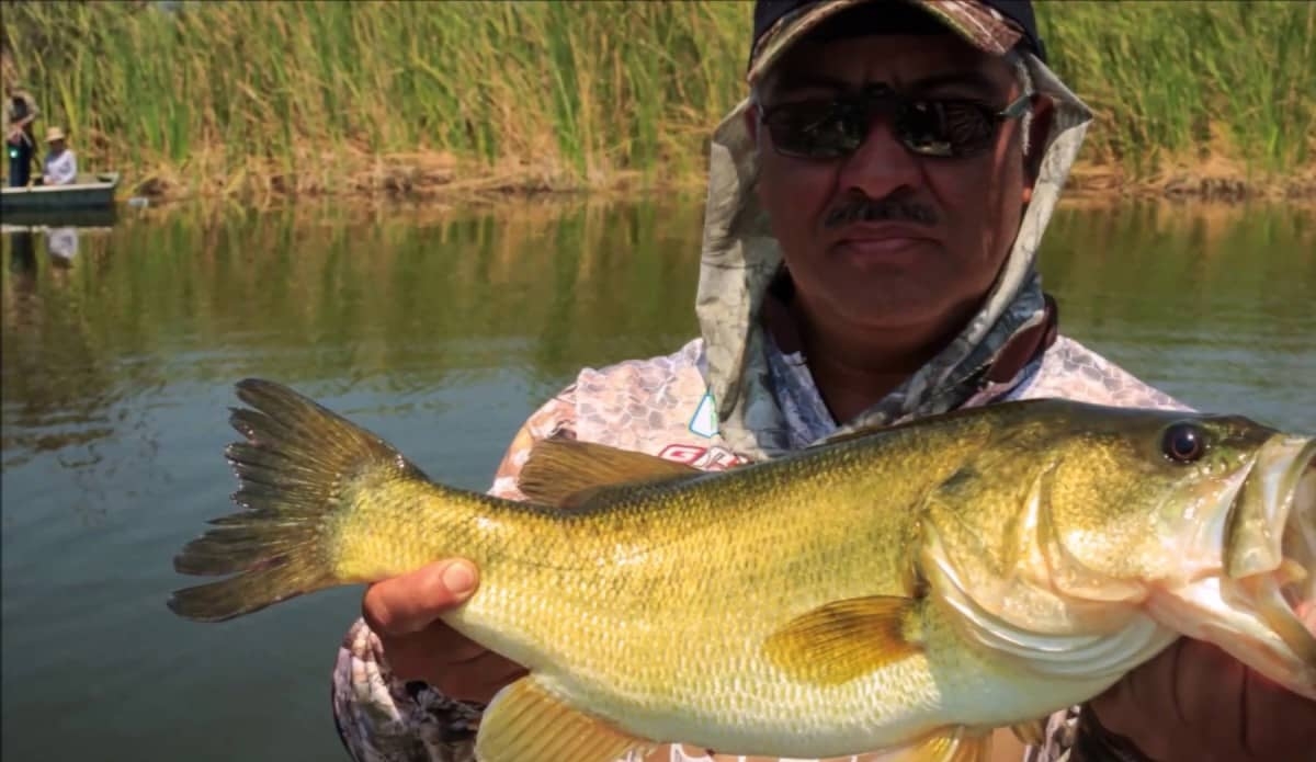 Reducirán pesca en Coatetelco y El Rodeo