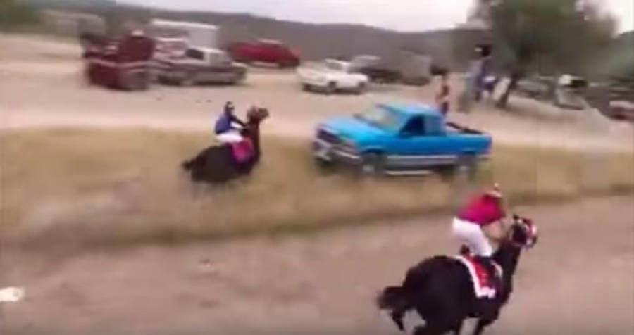 VIDEO: Jinete y su caballo se estrellan contra camioneta durante carrera