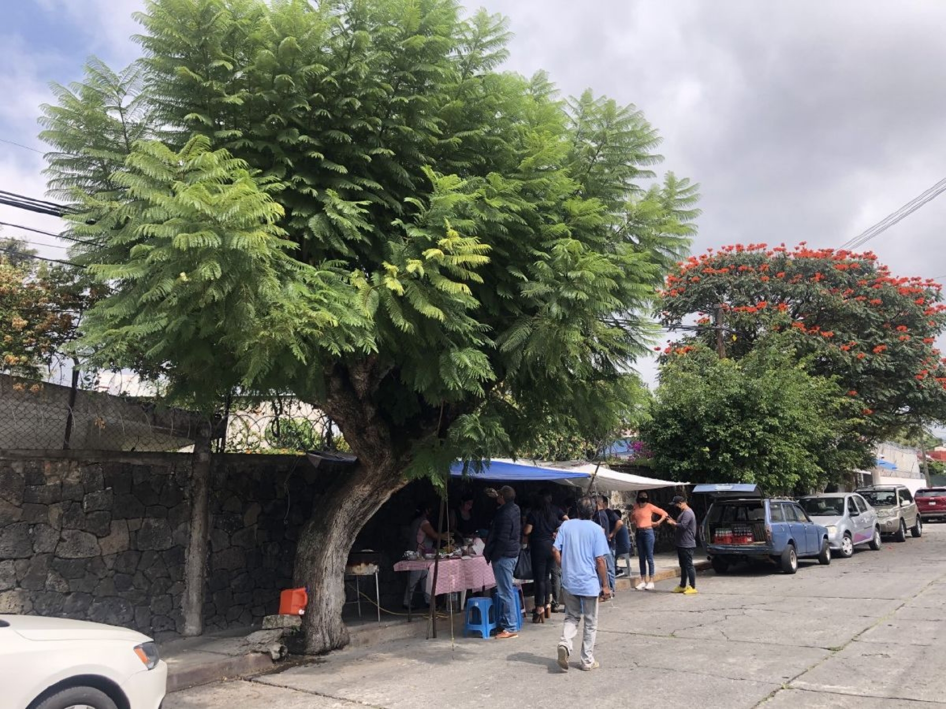 “El Árbol”, antojitos mexicanos con tradición