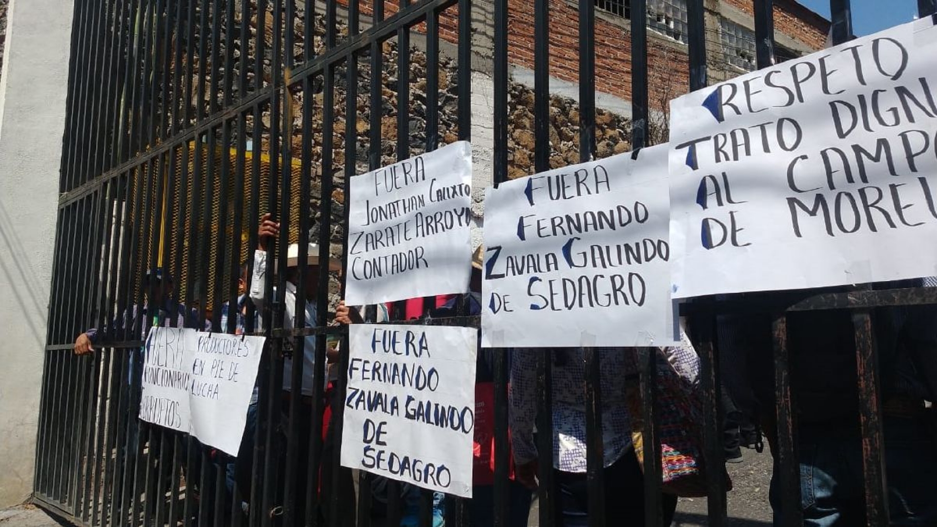 Aguacateros denuncian corrupción en Sedagro