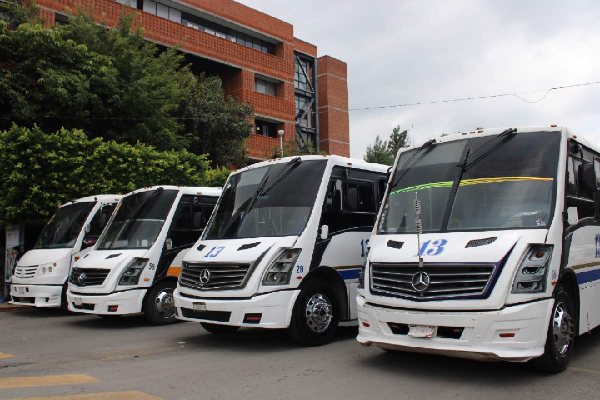 Elaborarán padrón de adultos mayores que no pagarán el transporte