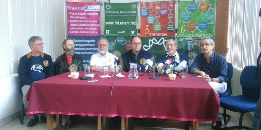 Investigadores del IBt trabajan en una mejor vacuna contra la influenza