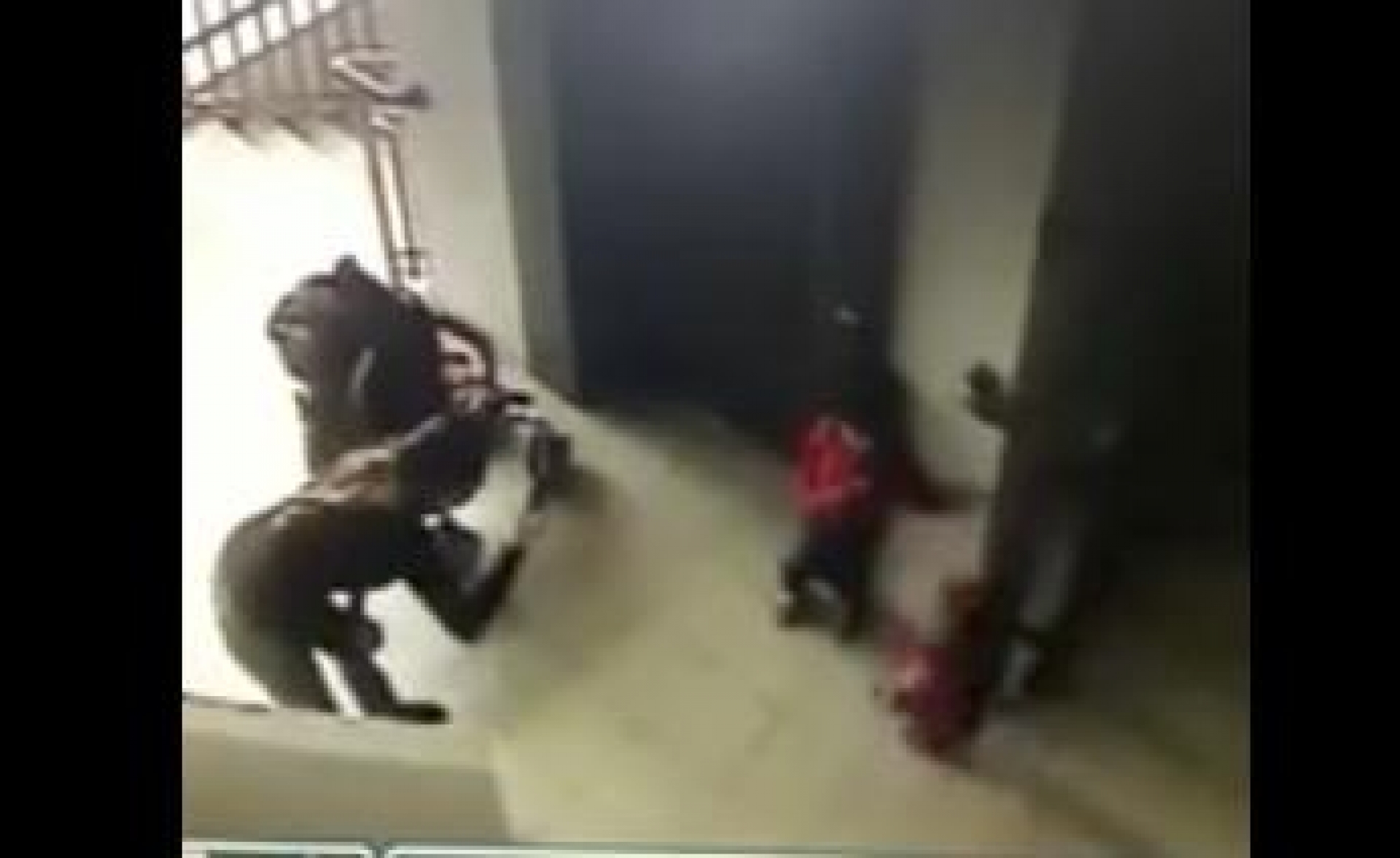 VIDEO: Una niña de 2 años 'desaparece' ante los ojos de su madre