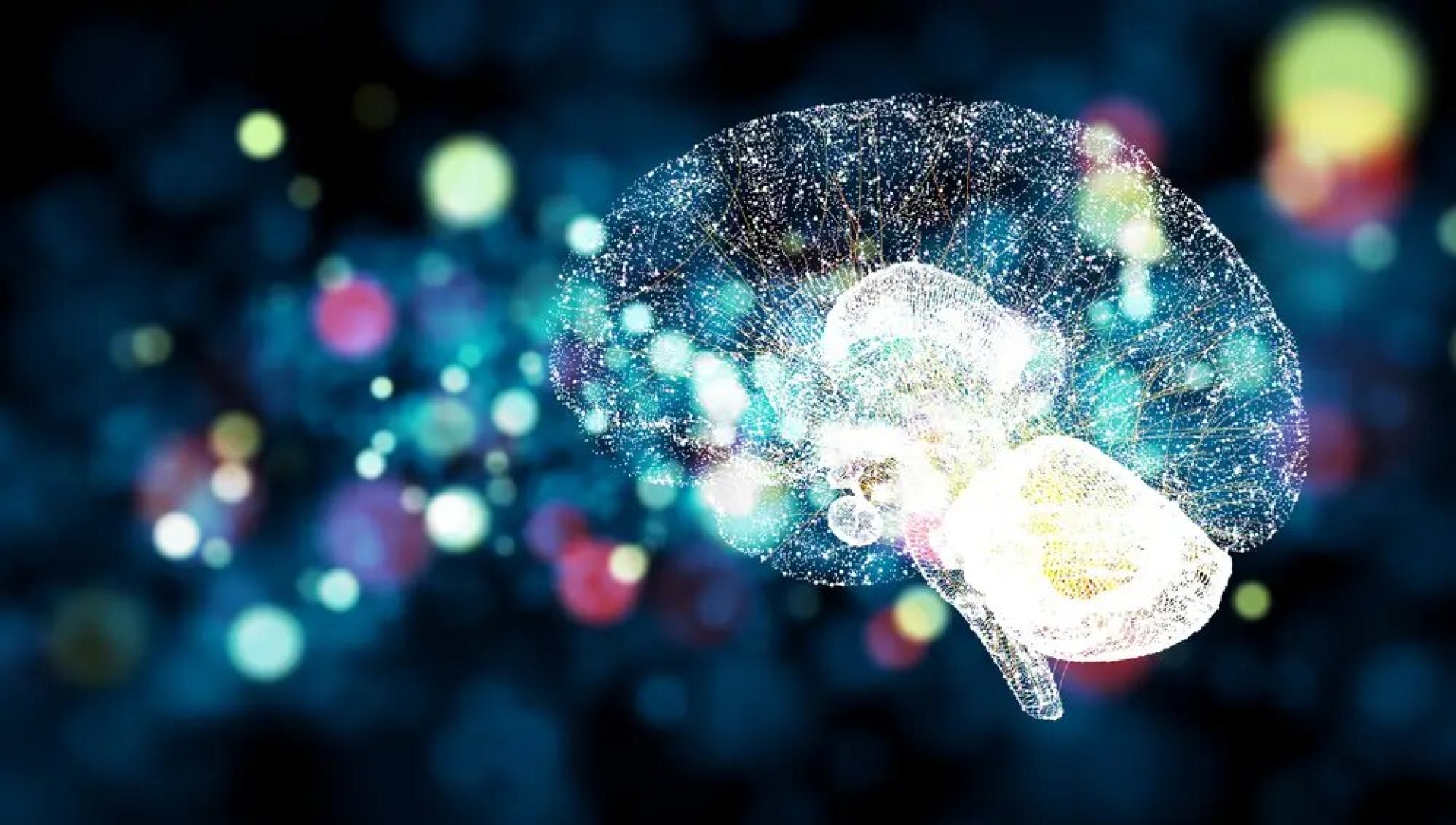 Estudio revela mecanismo del cerebro para seleccionar recuerdos duraderos