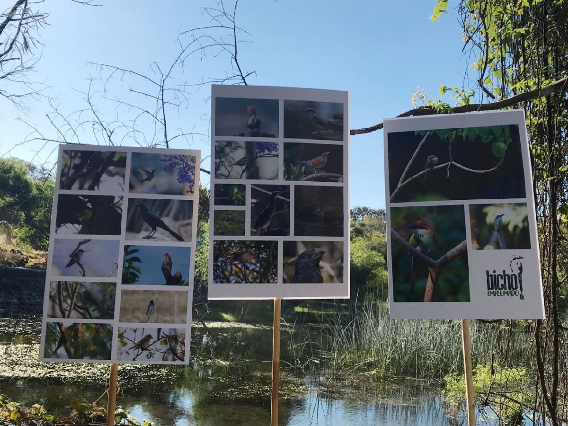 Celebran en Morelos Día Internacional de los Humedales