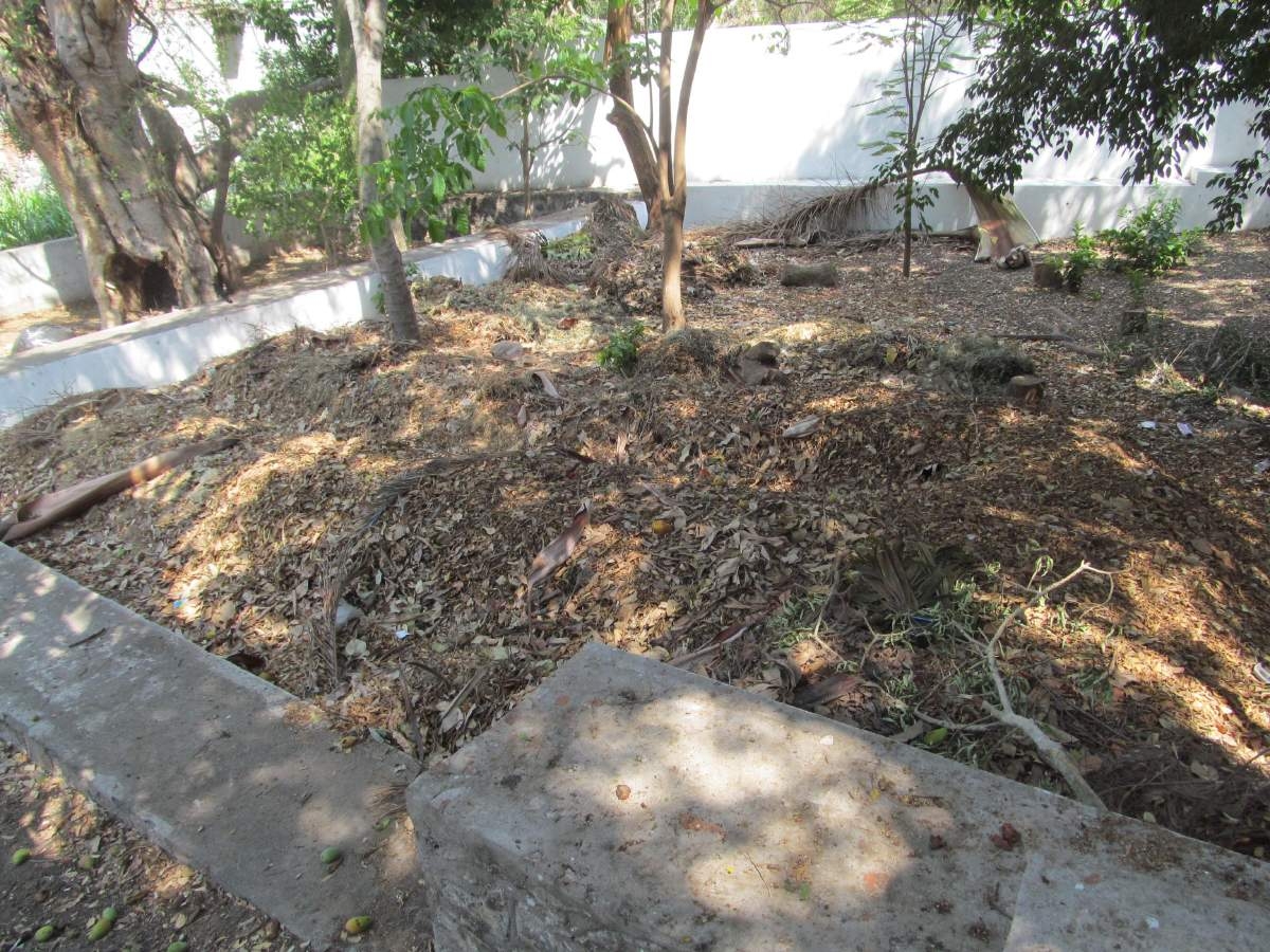 Elaborarán composta orgánica para parques y jardines de Jojutla