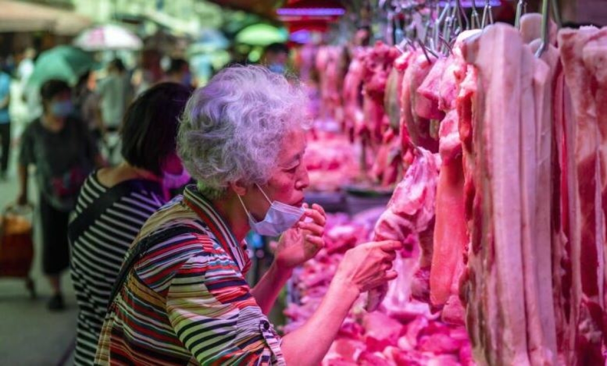 Científicos descubren virus desconocidos en animales salvajes consumidos en China