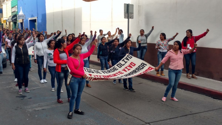 Normalistas de Amilcingo marchan contra inseguridad