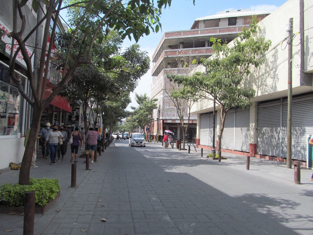 Falta atención a personas con trastornos mentales