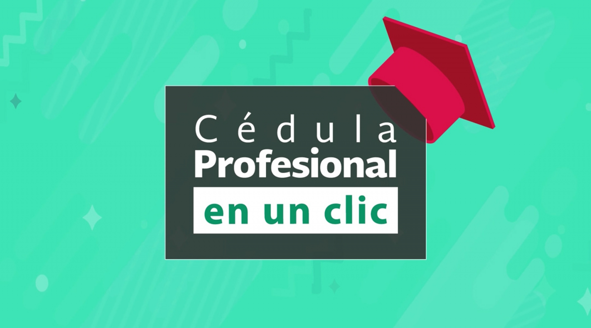 ¿Cómo obtener tu cédula profesional electrónica?