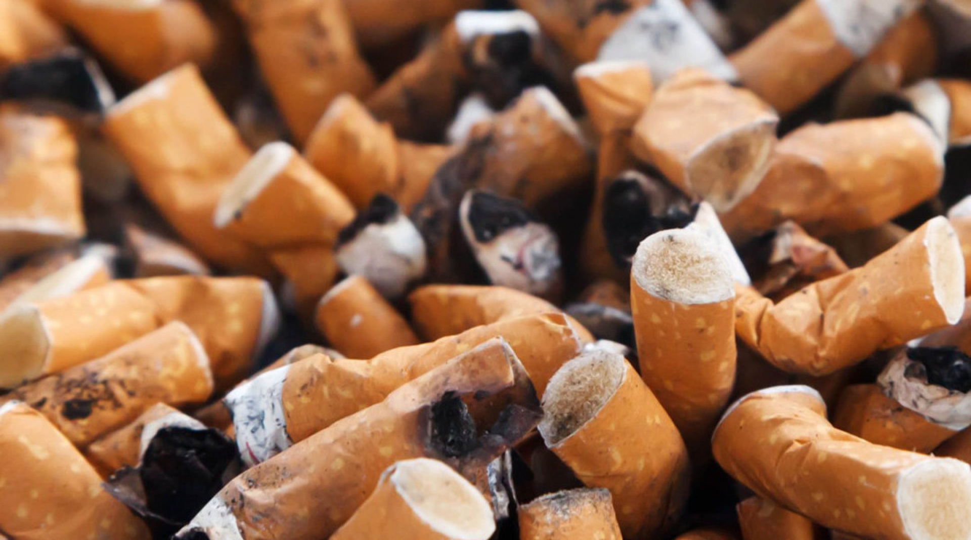 Científico de la UNAM idea proceso para convertir las colillas de cigarro en papel