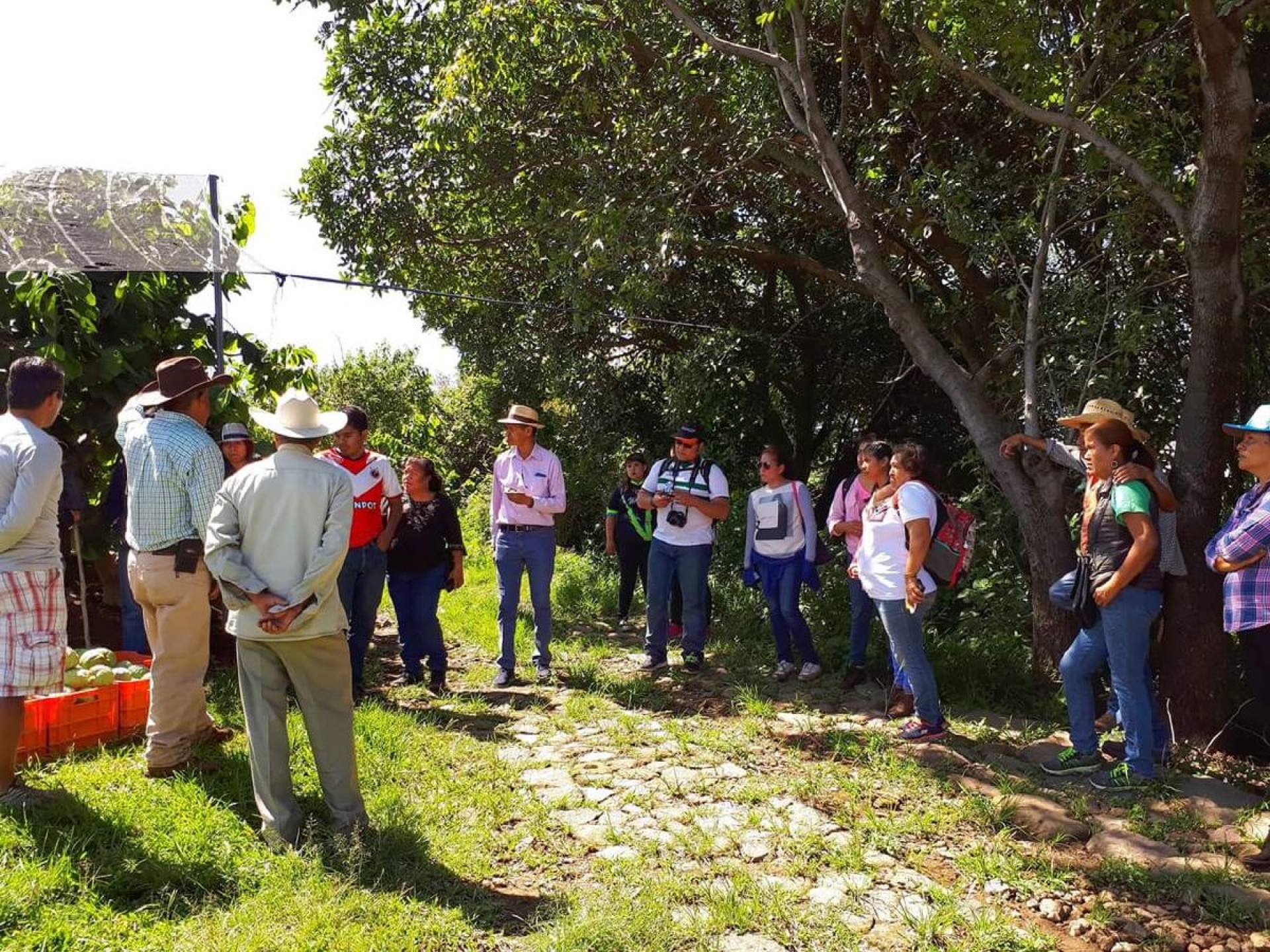 Prepara Yecapixtla nuevo proyecto turístico en Achichipico