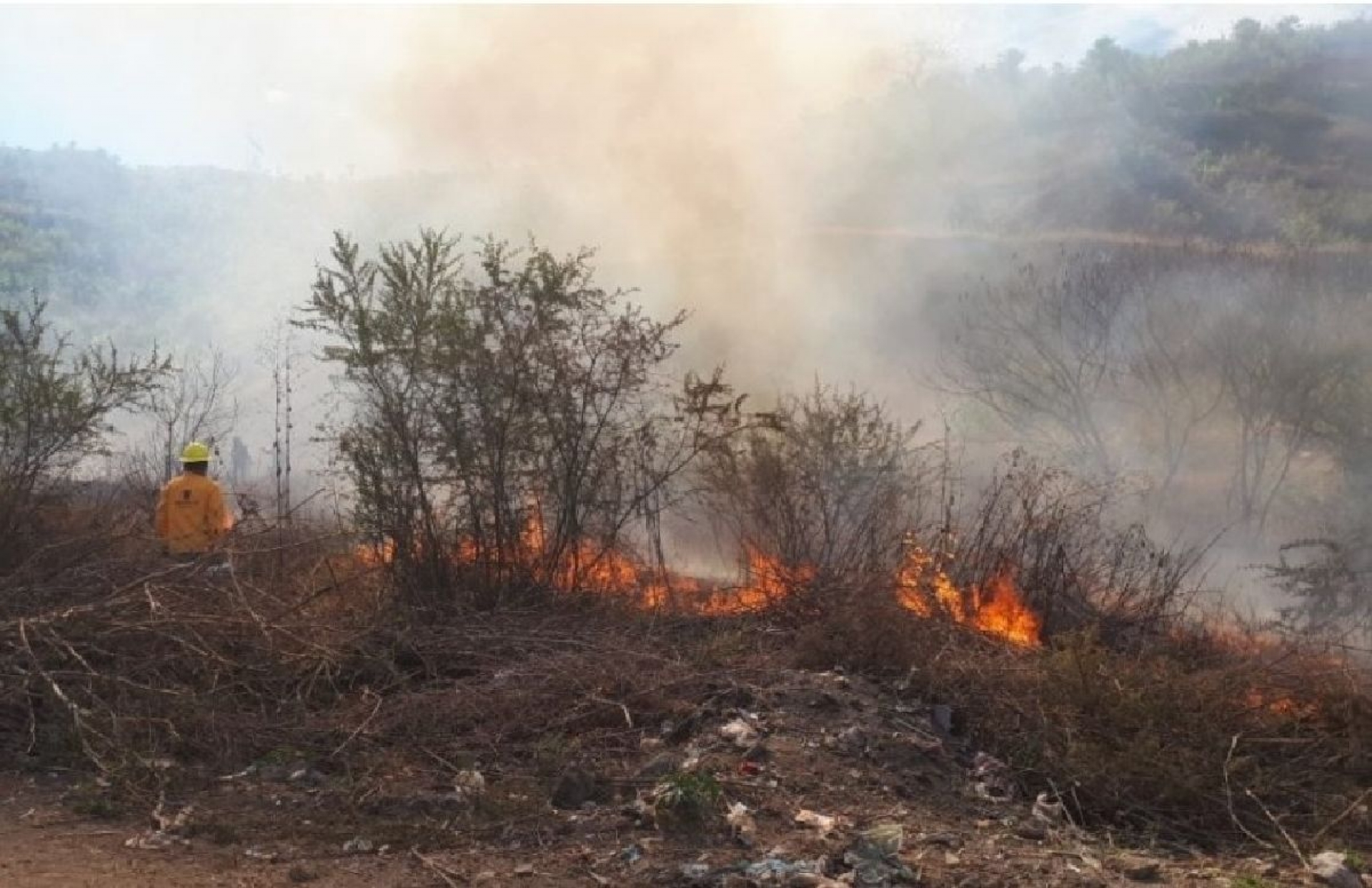 Capacitan a personal de PC de Yautepec para prevenir incendios forestales y de pastizales