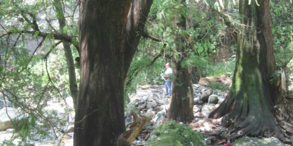 Hallan el cadáver de una persona en una barranca de Cuernavaca