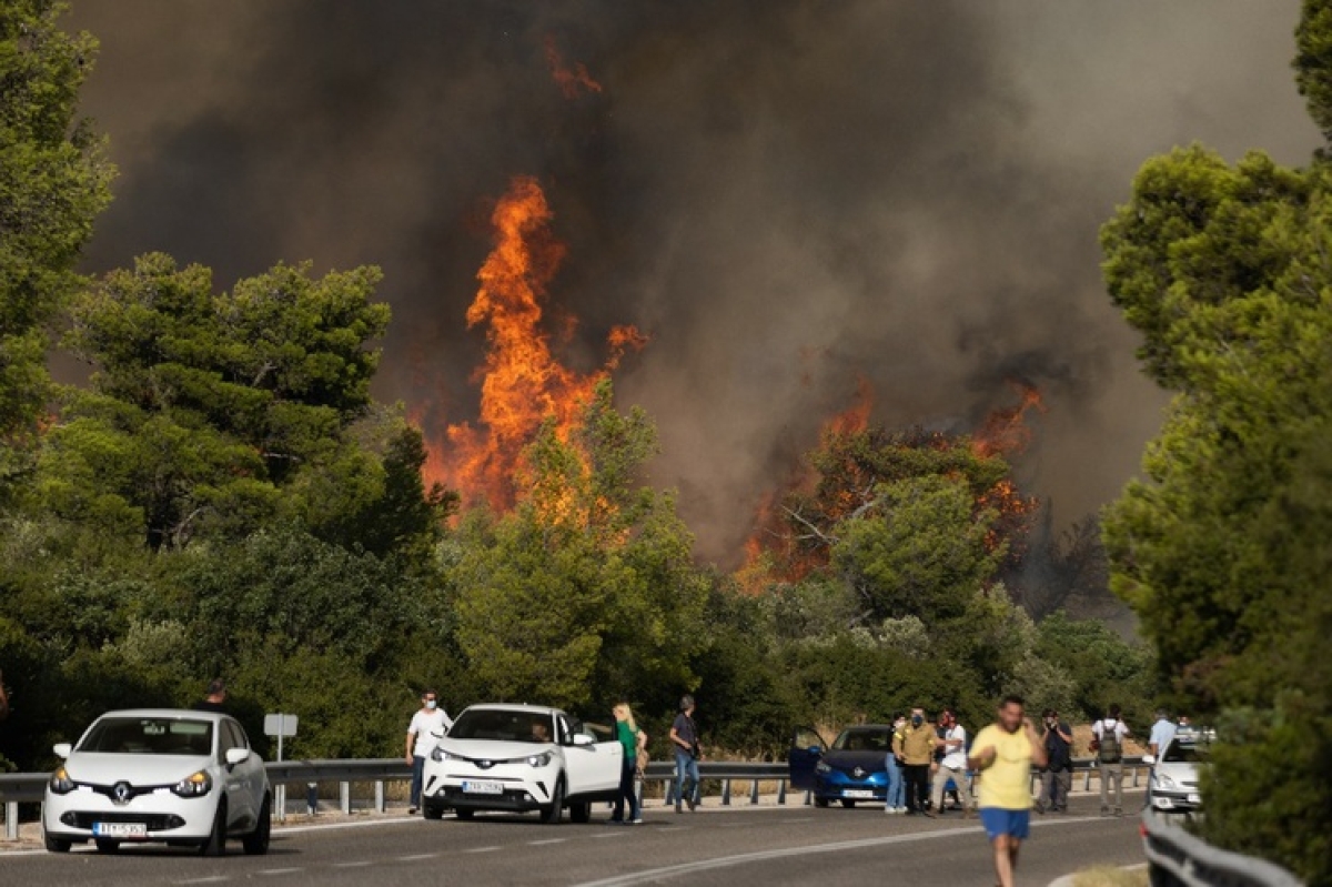 Evacuación masiva en la isla griega de Rodas por incendio forestal
