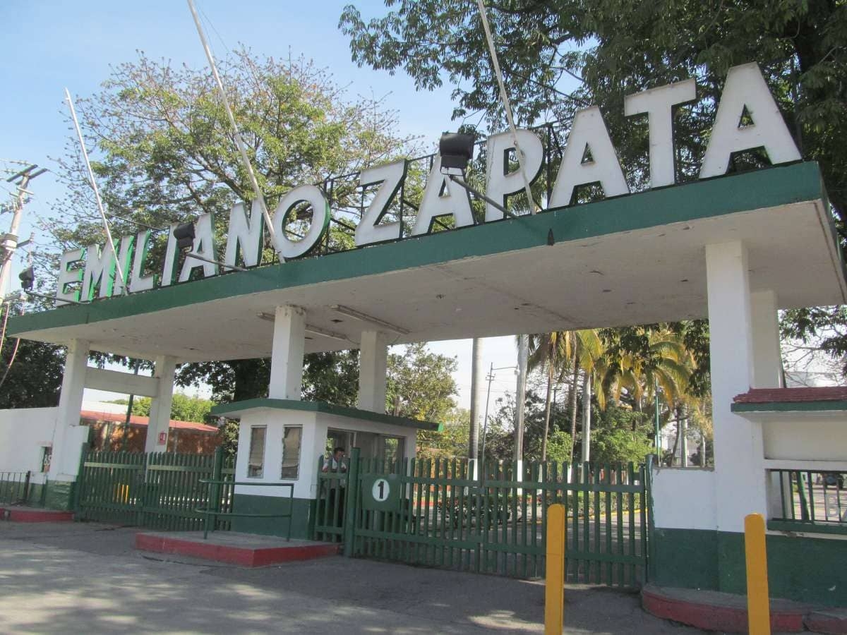Determinan precio de referencia del azúcar para pago de tonelada de caña