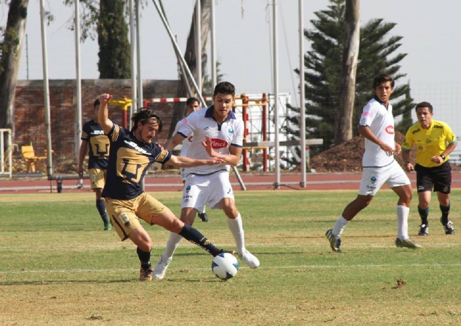 Halcones busca alargar racha ganadora frente a Puebla Premier