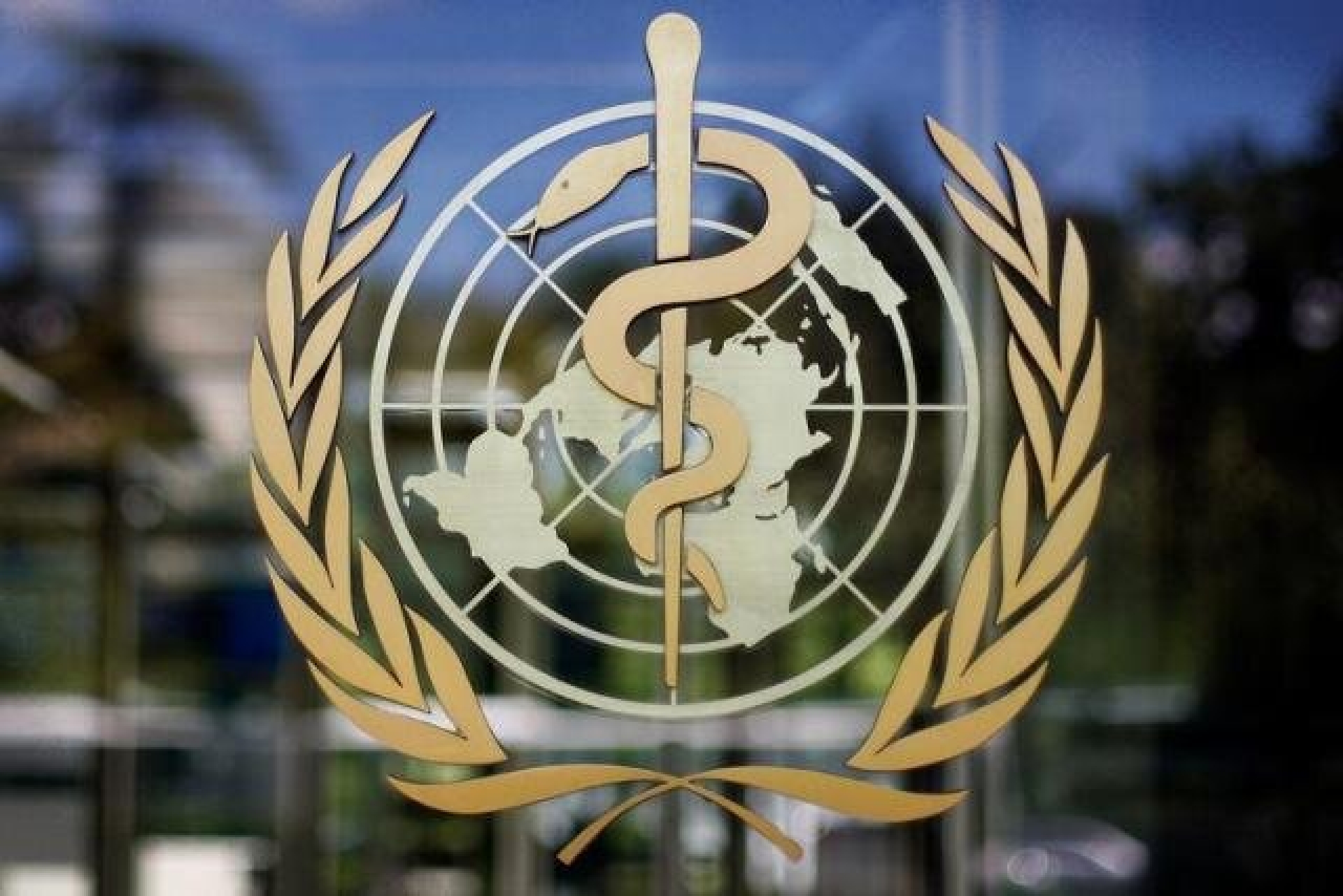 OMS ajusta su alcance y personal debido a la salida de Estados Unidos