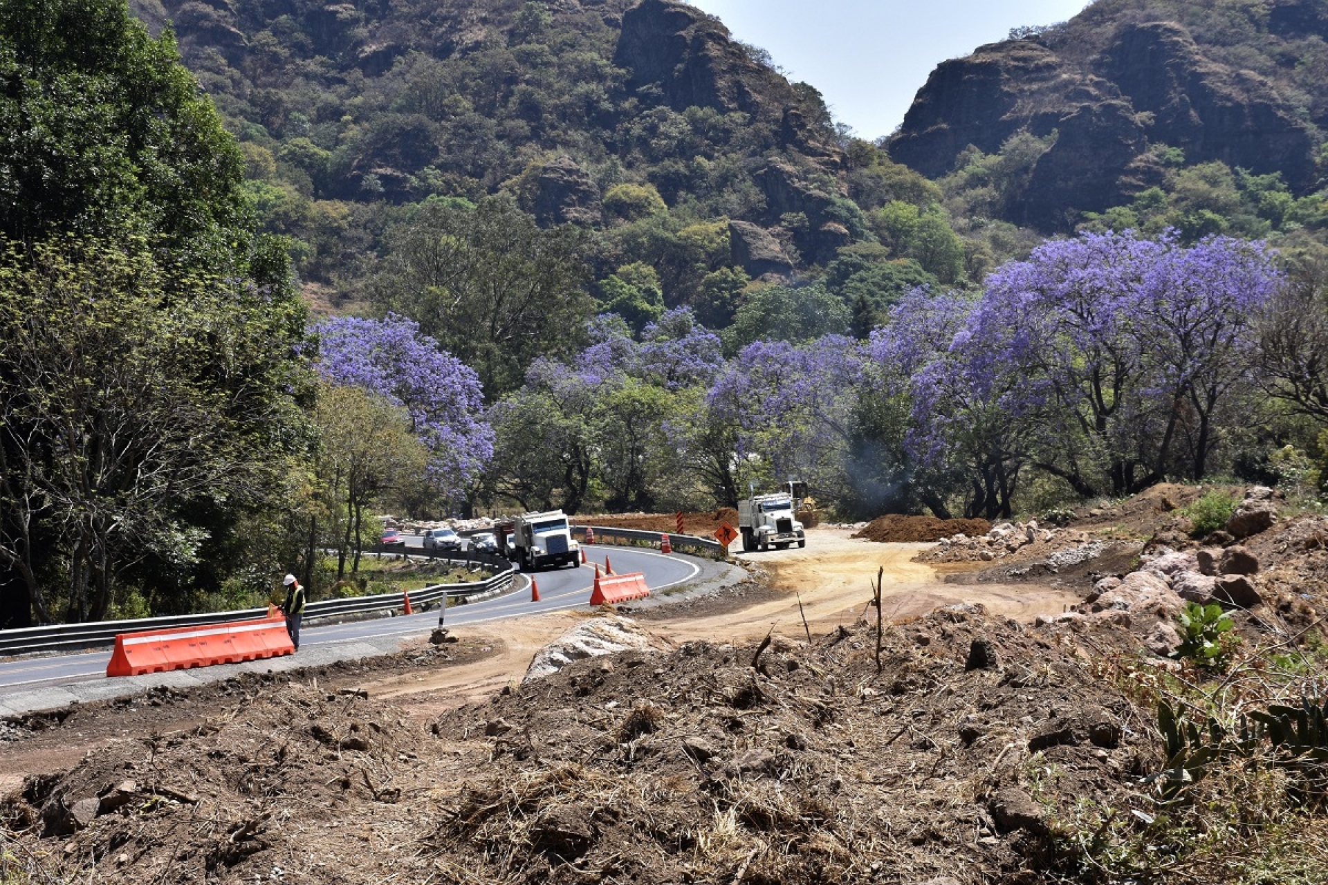 Condiciones favorables para disfrutar de la primavera de México