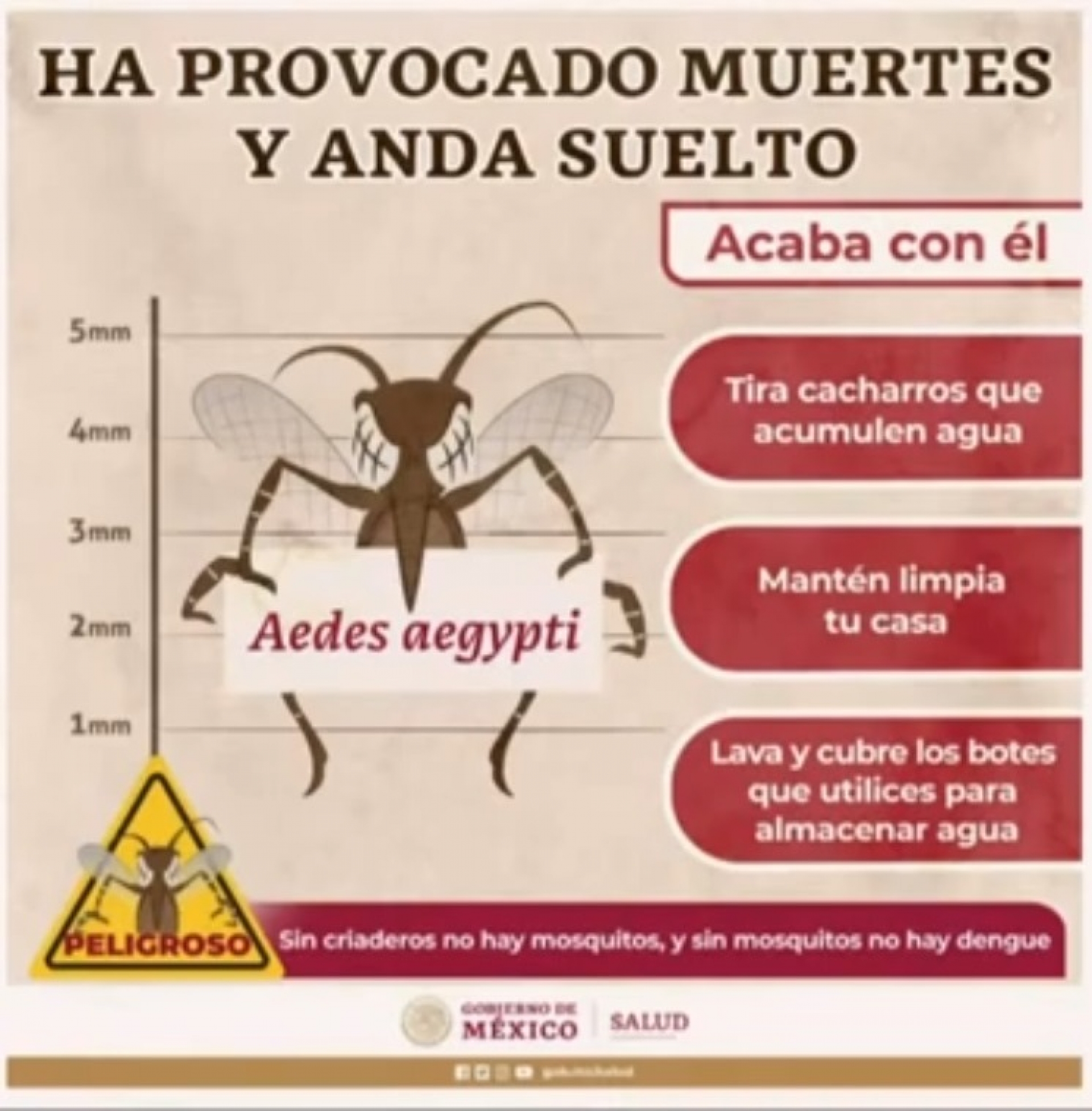 Jojutla y Tlaltizapán, con el mayor número de casos de dengue