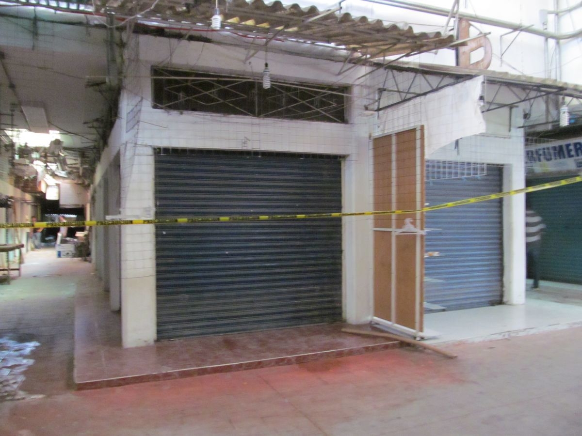 Breves del sur
