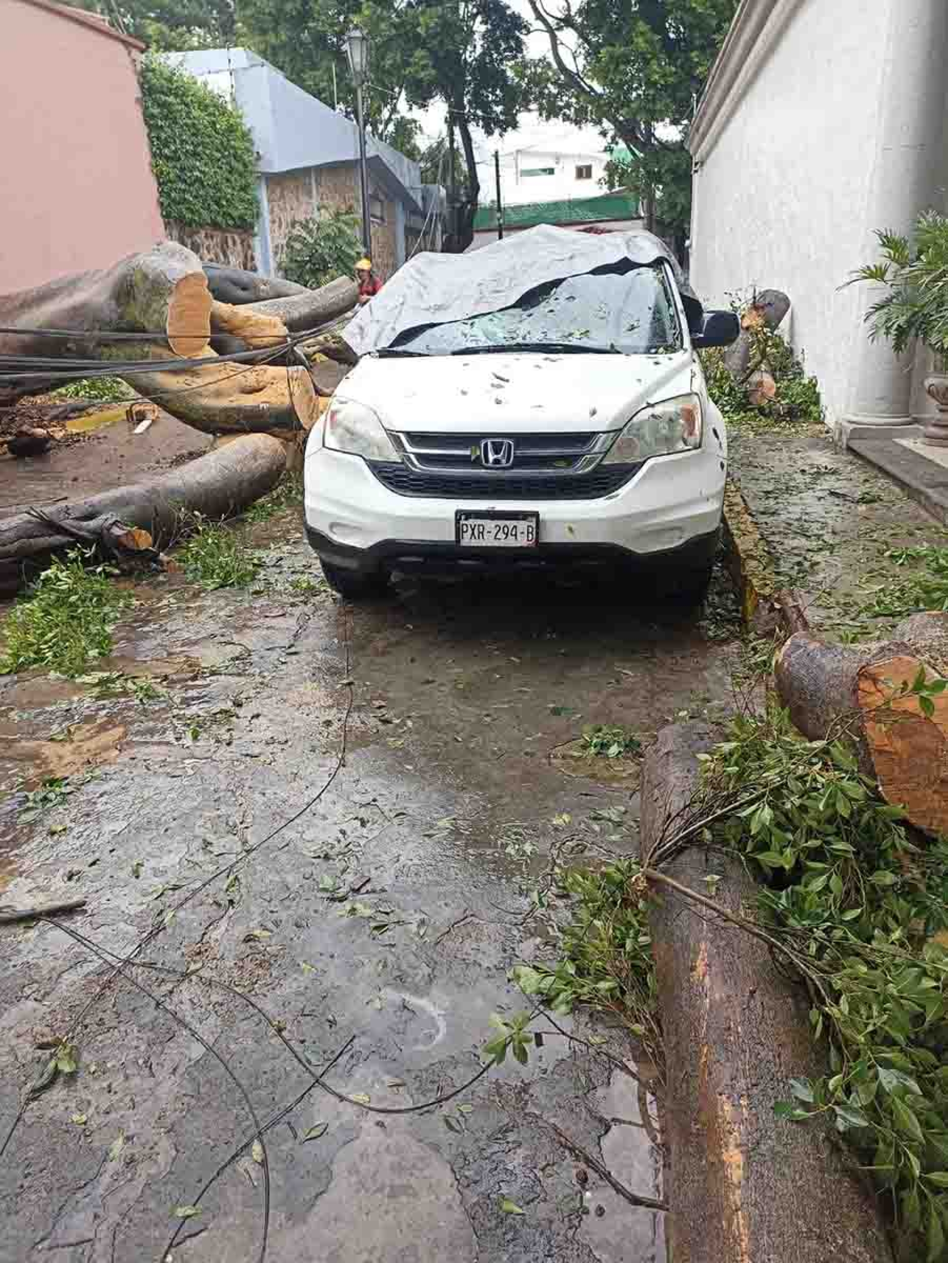 Padeció Cuernavaca encharcamientos y árboles caídos